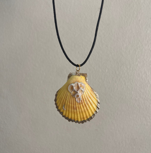 Shell necklace- beachy
