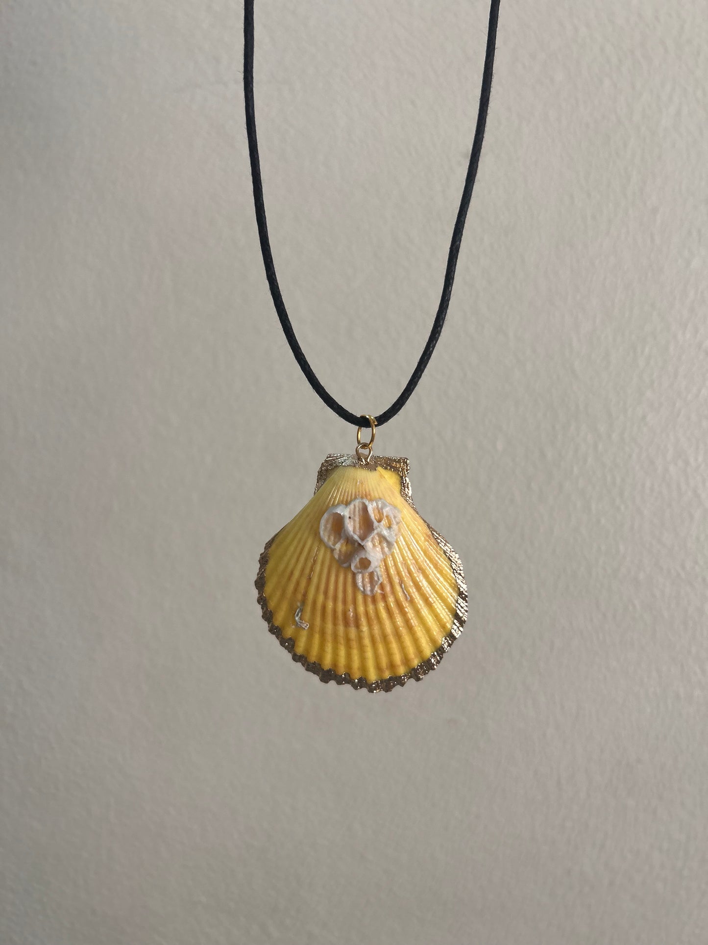 Shell necklace- beachy